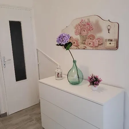 L'ortensia