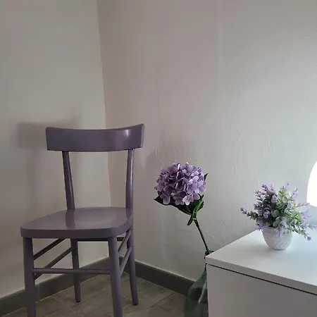 L'ortensia בגרייה