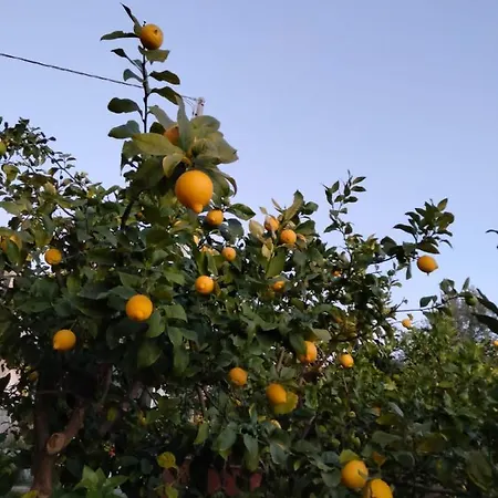 בית נופש L'ortensia בגרייה